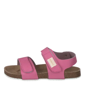 Bomhus Xc Pink
